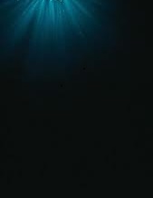 Consciousness Levels image